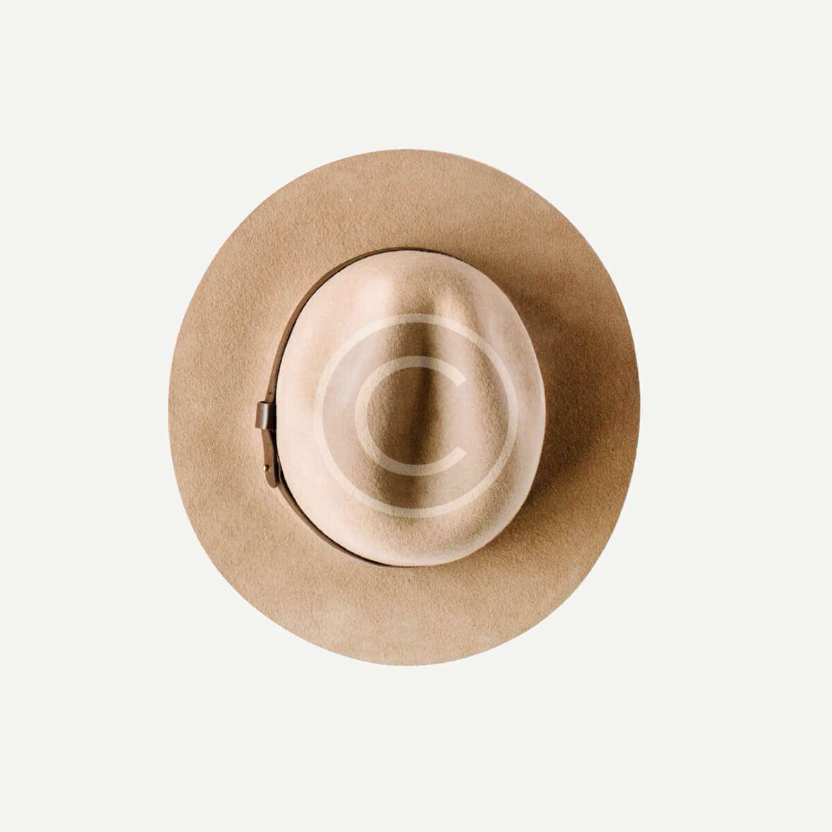 Classy fedora